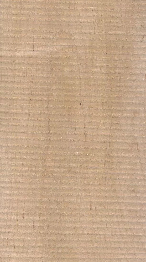 樺木的芯材顏色是淡紅棕色，邊材顏色近白色，板面寬且帶影的木皮市場價格良好，紋理通常是直紋和波浪紋，質地均勻，板面有很好的自然光澤度。.webp.jpg