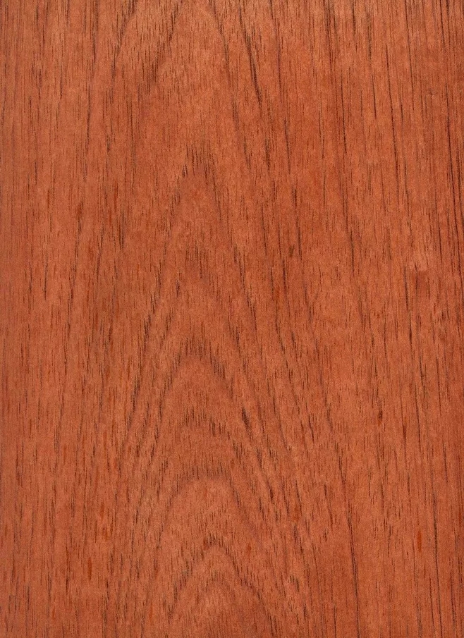 西班牙香杉的芯材為均勻的淺粉色到紅棕色，顏色一般會隨著樹木的增長而加深，通常，木材都自帶樹脂和有油脂，木材板面看起來比較普通。紋理通常直，有局部交錯，材質均勻，天然光澤度一般。.webp.jpg